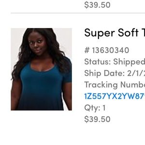 Torrid Size 1 Ombré Soft Knit Hi-Low Tee (Dress)